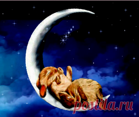 Сладких снов !.