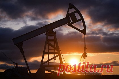Цены на нефть начали расти