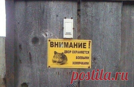 ТОП 9 самых необычных объявлений в истории (8 фото) | Чёрт побери