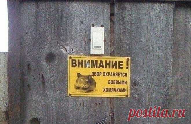 ТОП 9 самых необычных объявлений в истории (8 фото) | Чёрт побери