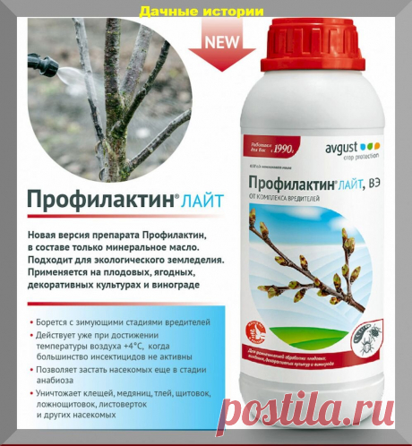 Шпаргалка по различным препаратам для сада и огорода: в помощь начинающим дачникам | Дачные истории | Дзен
