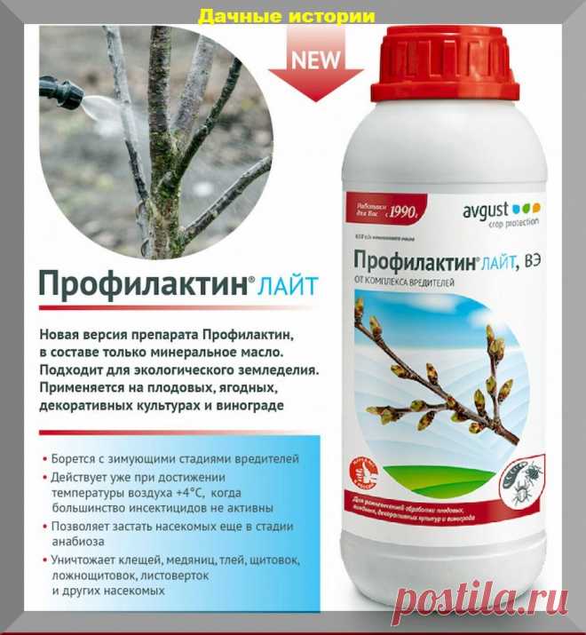 Шпаргалка по различным препаратам для сада и огорода: в помощь начинающим дачникам | Дачные истории | Дзен