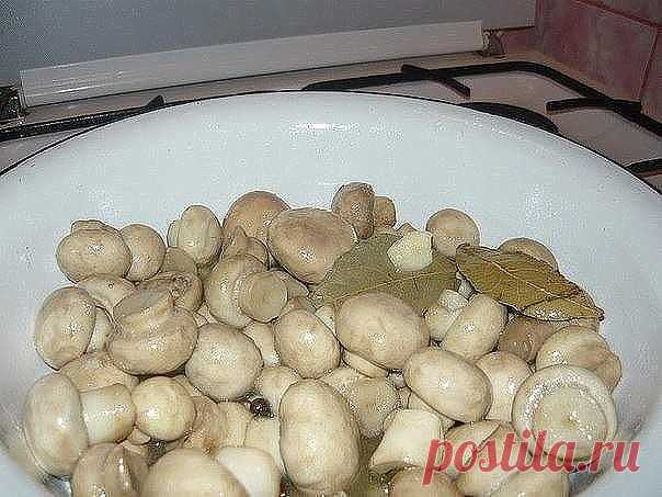 Маринуйте грибы сами