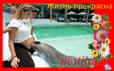 Жизнь прекрасна
