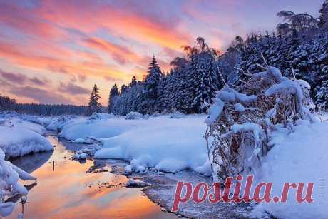 Интересные новости