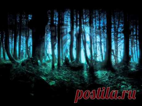 Frederic Chopin - Mysterious Forest