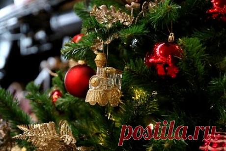 Россиян предупредили об опасности новогодней елки. Горящие елочные гирлянды могут привести к пожару. О причинах опасности предупредила заместитель руководителя Роскачества Ольга Шанаева в беседе с агентством «Прайм». По словам Шанаевой, возгорание может произойти, если оставить их включенными на длительное время. В первую очередь выключить гирлянду.