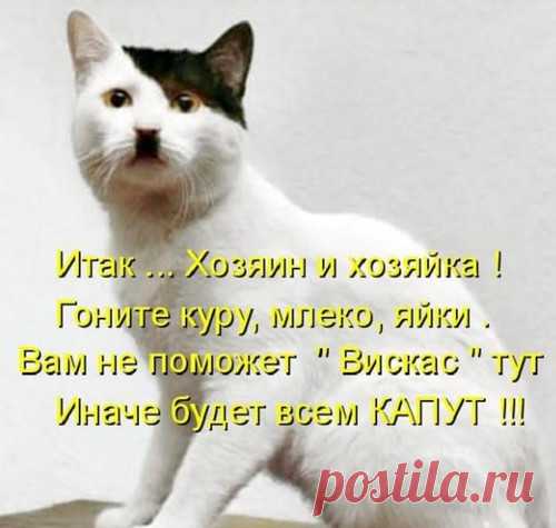 Очередная подборка вечерних анекдотов. Заходит чукча в аптеку, подходит к окошечку.
— У вас сметана есть?
— О ??? Нет...
— А колбаска копченая есть?
— Нет, и колбаски нет...
— А рыбка вяленая есть?
— Да нет же! Мы такими вещами в аптеке не торгуем!
— ПЛОХО ТОРГУЕТЕ!!!