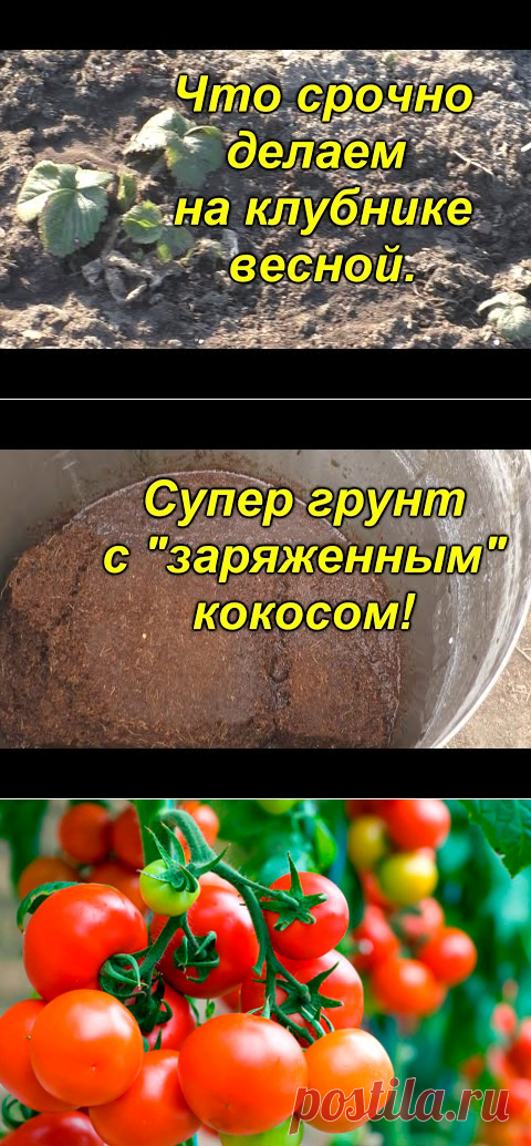 сад благоустройство | Надежда Каштанова | Фотографии и советы опытных дачников на Постиле