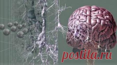 Кому грозит СТАРЧЕСКОЕ СЛАБОУМИЕ Академик Бехтерев, тот самый, что посвятил жизнь изучению мозга, как-то заметил, что великое счастье умереть, не растеряв