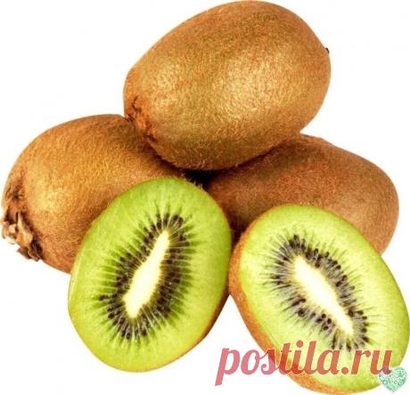 КИВИ ЛЕЧИТ
Киви содержит витамины А, В, В1, В2, В3, В6, С, Е, магний, калий, каротин, ферменты, минеральные соли, натрий, клетчатку, никотиновую кислоту.
1. Применяется при заболеваниях сердечно-сосудистой системы. Укрепляет стенки кровеносных сосудов, снижает риск кровоизлияний, нормализует артериальное давление. Благодаря калию киви предупреждает отеки, регулируя водно-солевой баланс в организме.
2. Один киви в день обеспечивает суточную потребность в витамине С — укрепл...