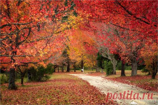 Brilliance of The Fall