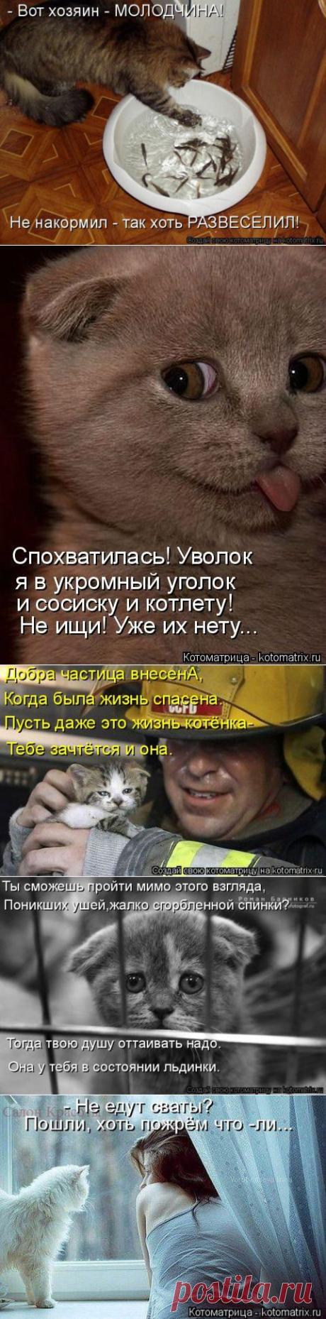 Котоматрицы