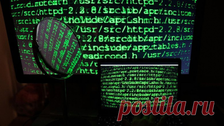 Нейросеть довела пенсионера до психбольницы - Новости Mail