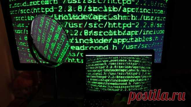 Нейросеть довела пенсионера до психбольницы - Новости Mail