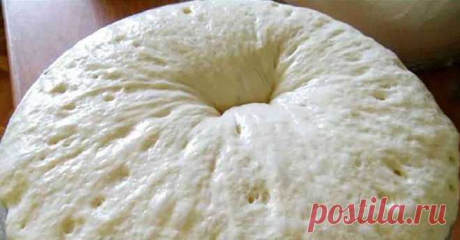 Идеальное универсальное дрожжевое тесто... из холодильника.

Ингредиенты:

Мука — 4 ст.
Молоко — 0,5 л.
Дрожжи сухие — 1 ст. ложка
Сахар — 1 ст. ложка
Соль — 1 ч. ложка
Масло растительное — 2 ст. ложки

Приготовление:

Просеять муку в глубокую емкость.
Добавляем молоко.
Добавляем сахар, дрожжи, растительное масло, соль.
Перемешиваем до однородной массы.
Перекладываем тесто в полиэтиленовый пакет. Кладем пакет в холодильник на 3 часа.
Из этого теста можно печь и пироги, и п...