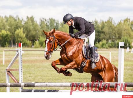 Фото: Конкур. Фотограф Сан Саныч. Спорт - Фотосайт Расфокус.ру