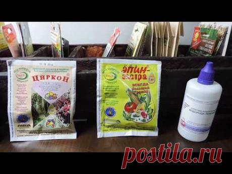 ОБМАН ВЕКА | ВЫКИНЬТЕ ВСЕ СТИМУЛЯТОРЫ РОСТА | 100% ВСХОЖЕСТЬ СЕМЯН