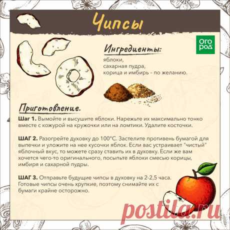 Чипсы из яблок