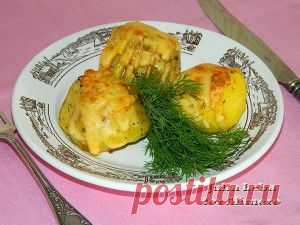 Картофель веером под сыром - "Ваши любимые рецепты" - babushka1942@mail.ru - Почта Mail.Ru