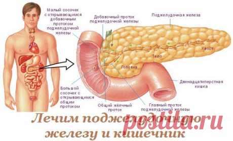 Поиск новостей по запросу #для_здоровья