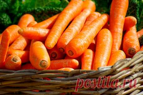 Топ-10 полезных продуктов для глаз и хорошего зрения