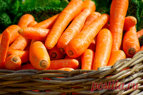 Топ-10 полезных продуктов для глаз и хорошего зрения