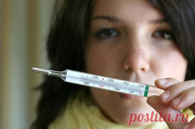 Настои из брусничного листа и коры ивы помогут сбить температуру / Будьте здоровы