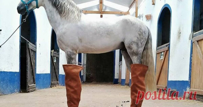 18 снимков португальского фотографа, которые доказывают, что ракурс решает все