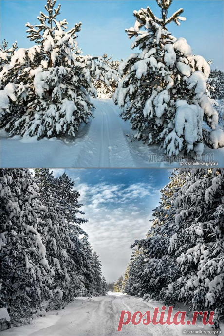 Красивая лыжня