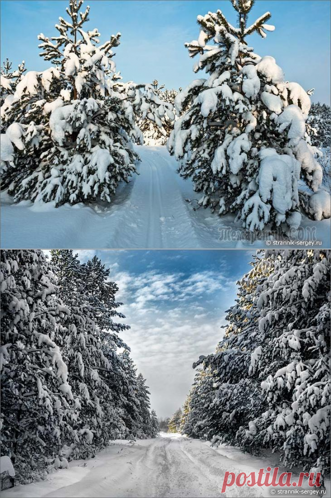 Красивая лыжня