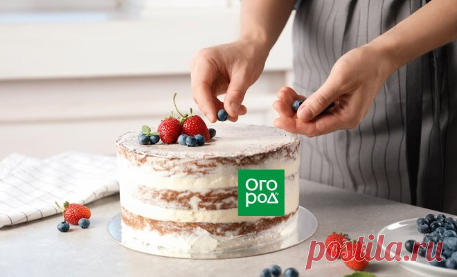 10 простых рецептов тортов, с которыми справится даже новичок | Дачная кухня (Огород.ru)