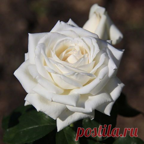 ᴬᴿᴹ☆ ☆ ☆ Арман ☜❶☞ Баграмян ☆ ☆ ☆ᴬᴿᴹ
37 лет, Армения, Ванадзор (Кировакан)