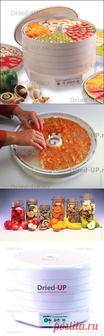 Дегидратор Ezidri Snackmaker FD500 | Бесплатная доставка dried-up.ru
