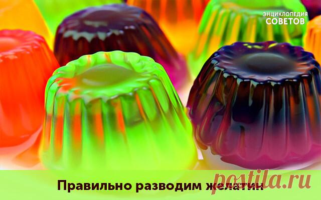 В КАКИХ ПРОПОРЦИЯХ ПРАВИЛЬНО РАЗВОДИТЬ ЖЕЛАТИН