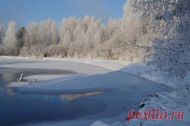ФОТОМАСТЕРСКАЯ ПРИРОДЫ
Галина Чусовитина