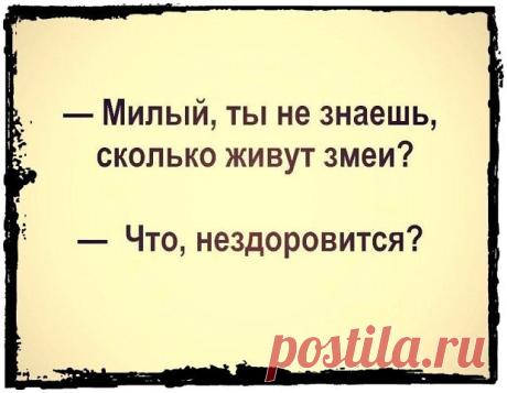 Смехопанорама