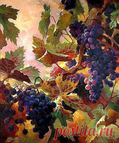 Leon Roulette. Provence vineyard