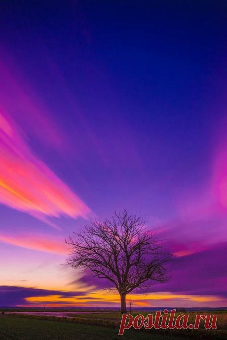 Friday's Sky, Rolf Nachbar | Tree &amp; Path