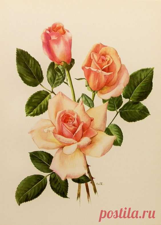 (170) Pinterest • Всемирный каталог идей