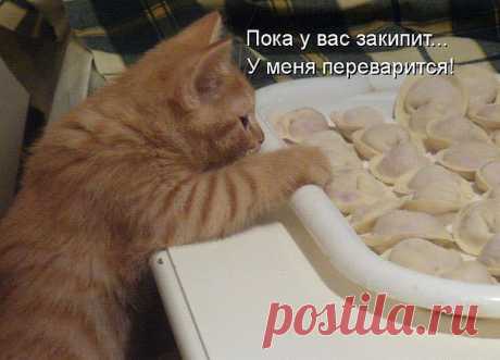 хх
