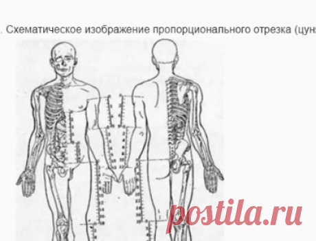 ТОПОГРАФИЯ МЕРИДИАНОВ И ТОЧЕК: Для обозначения меридианов и БАТ мы используем установив­шееся