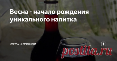 Весна - начало рождения уникального напитка С теми, кто имеет возможность жить среди природы (ну, хотя бы просто выезжать на дачу), хочу поделиться рецептом одного очень вкусного и полезного ликёра. Да-да, полезного! Потому что мы сами его делаем. Нет, не просто делаем, а складываем, составляем по кусочкам.
Рецепта не будет. Просто расскажу. Всё начинается с одуванчиков. Как только появляются их солнечные цветы, начинаем делать