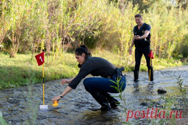 CSI: Вегас - Boned (2023)