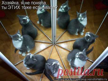 Сколько ж нас!