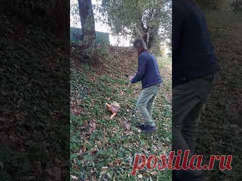 Кукла - YouTube