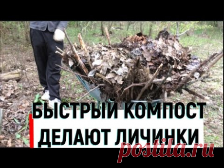 Быстрое приготовление компоста за сезон без затрат и труда - YouTube