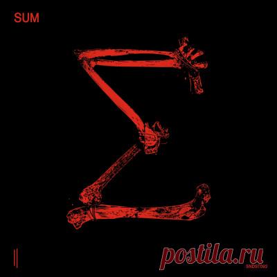 SUM 10 | Electrobuzz Pro