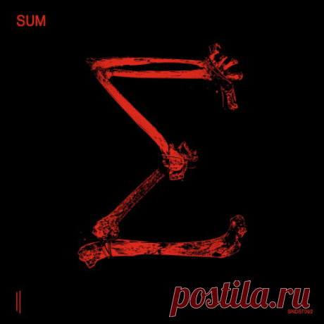 SUM 10 | Electrobuzz Pro
