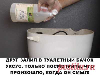 ОН ЗАЛИЛ В ТУАЛЕТНЫЙ БАЧОК УКСУС. ТОЛЬКО ПОСМОТРИТЕ, ЧТО ПРОИЗОШЛО, КОГДА ОН СМЫЛ!